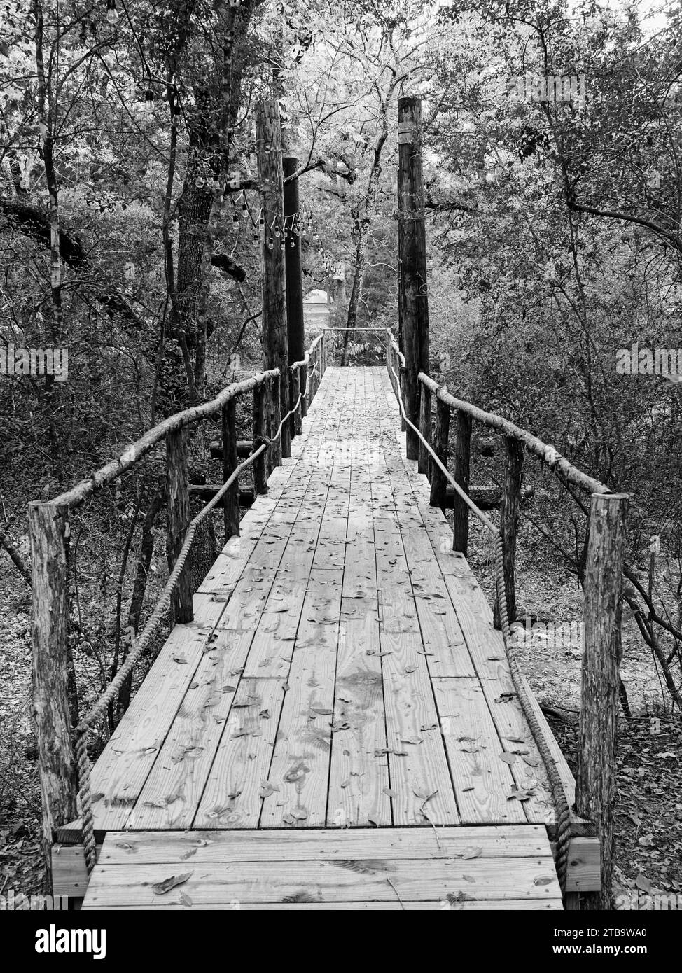 Pont en bois dans les bois à la tente jaune Banque D'Images