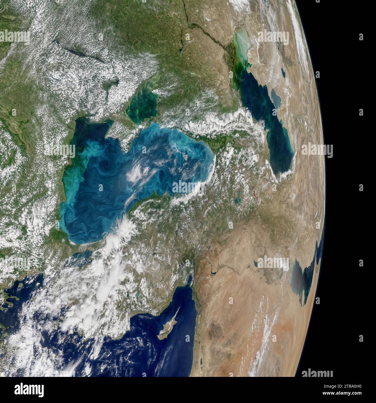 Mosaïque de la planète Terre montrant la floraison du phytoplancton dans la mer Noire. Banque D'Images