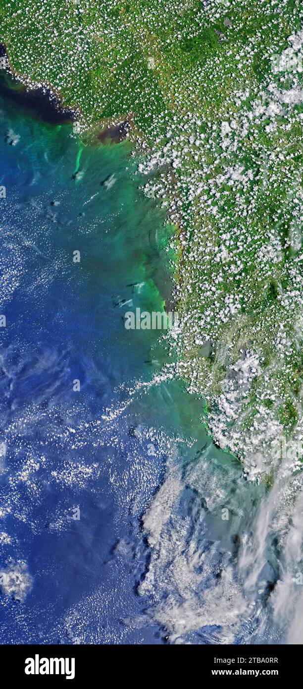 Vue satellite des fleurs nuisibles d'algues de marée rouge le long de la côte du golfe de Floride. Banque D'Images