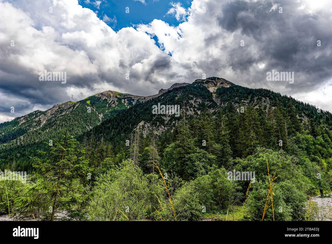 großer Alpsee, das vielseitige Naturerlebnis im Oberallgäu : der Große Alpsee-Rundweg Banque D'Images