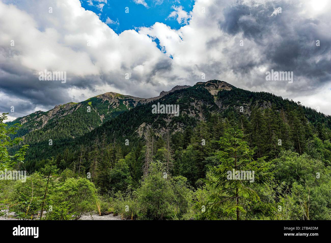 großer Alpsee, das vielseitige Naturerlebnis im Oberallgäu : der Große Alpsee-Rundweg Banque D'Images