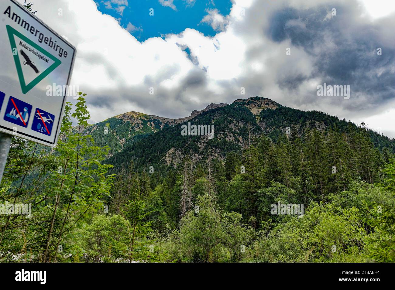 großer Alpsee, das vielseitige Naturerlebnis im Oberallgäu : der Große Alpsee-Rundweg Banque D'Images