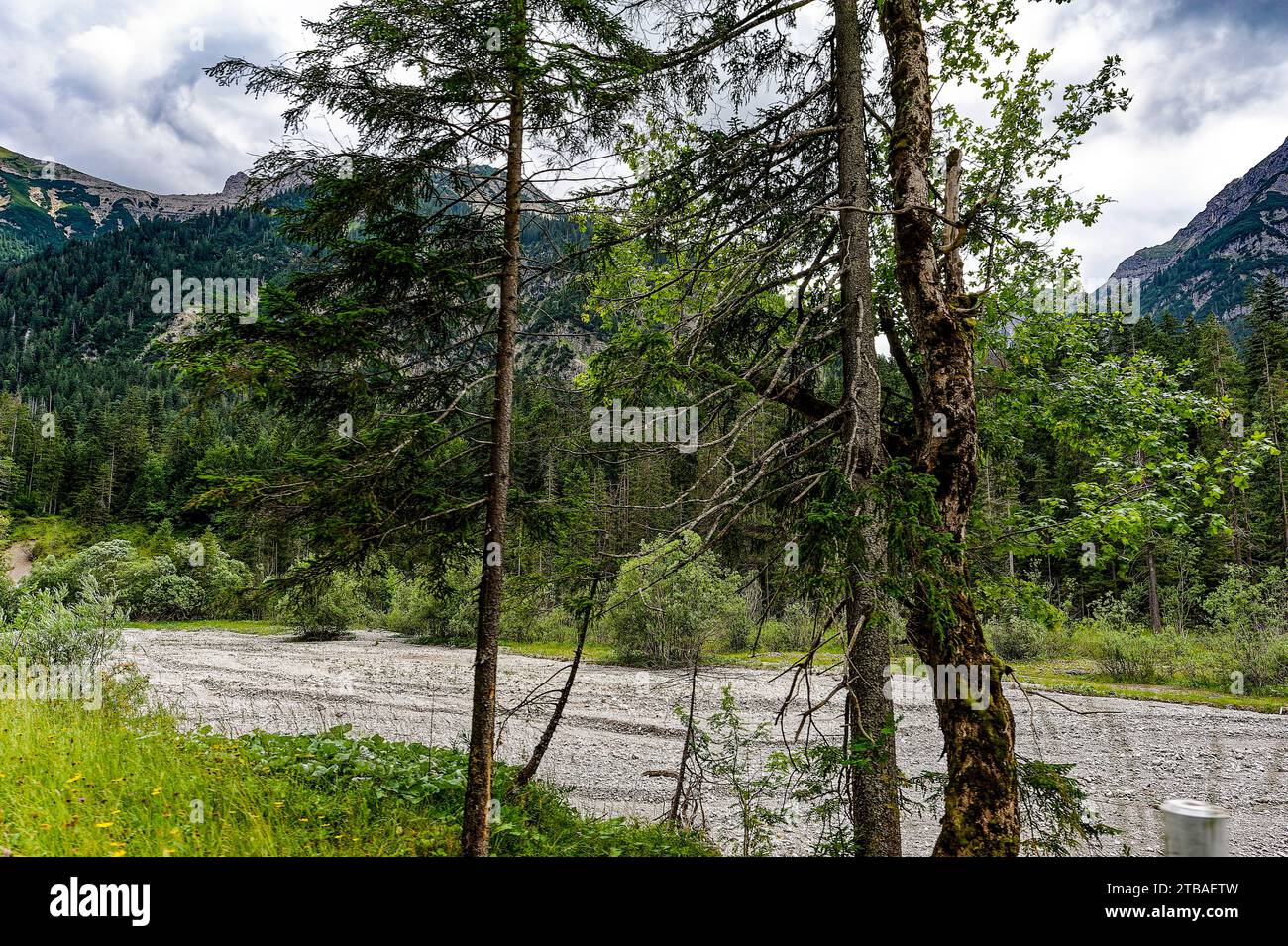 großer Alpsee, das vielseitige Naturerlebnis im Oberallgäu : der Große Alpsee-Rundweg Banque D'Images