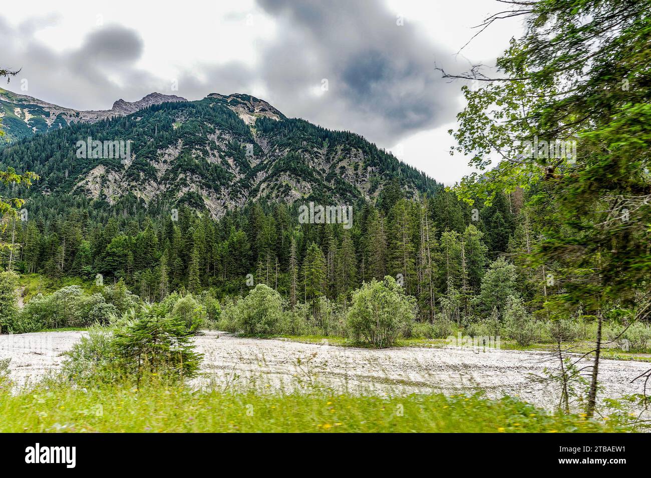 großer Alpsee, das vielseitige Naturerlebnis im Oberallgäu : der Große Alpsee-Rundweg Banque D'Images