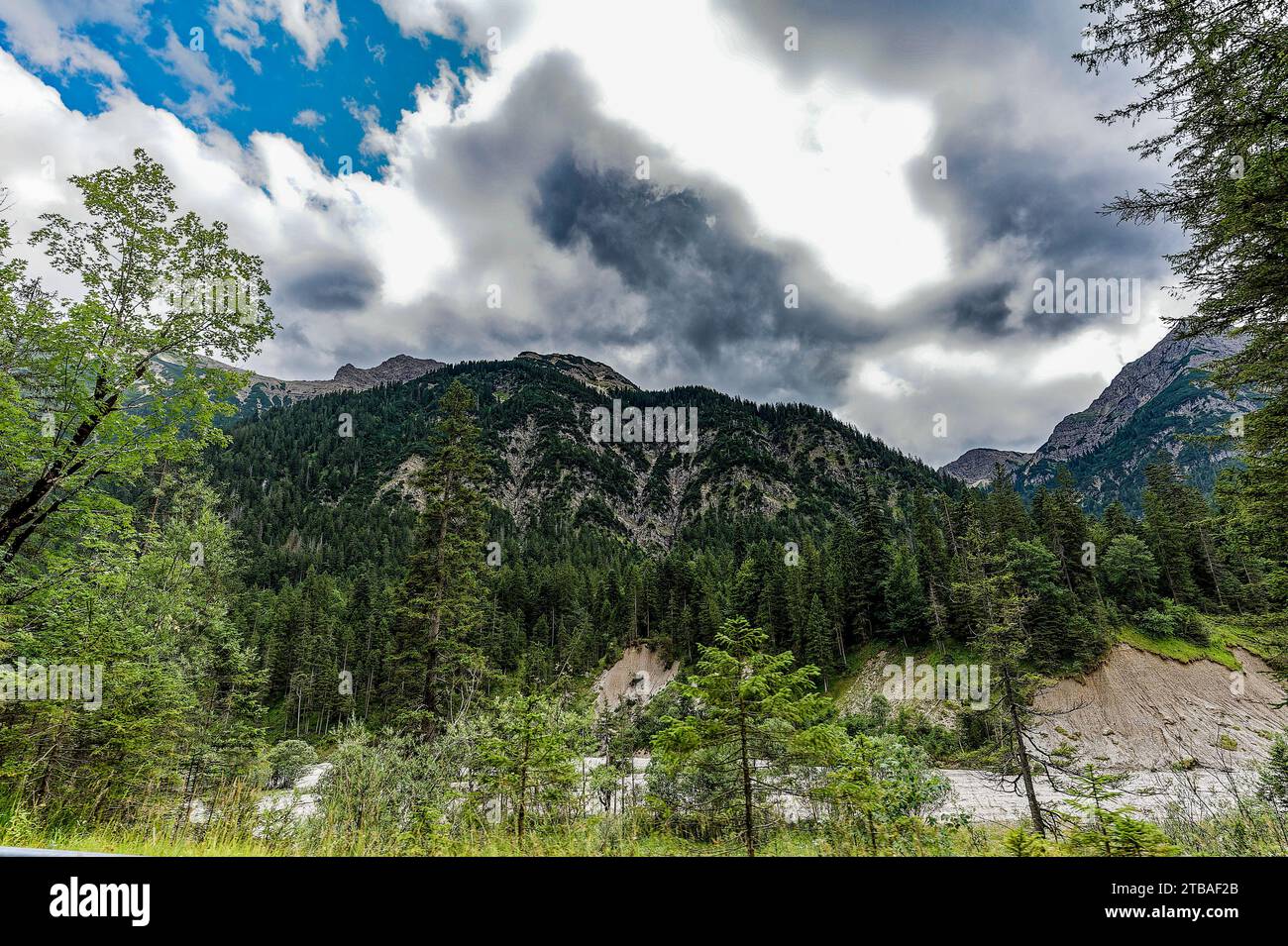 großer Alpsee, das vielseitige Naturerlebnis im Oberallgäu : der Große Alpsee-Rundweg Banque D'Images