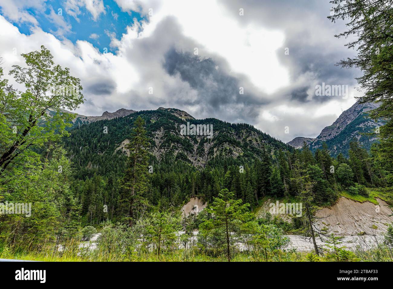großer Alpsee, das vielseitige Naturerlebnis im Oberallgäu : der Große Alpsee-Rundweg Banque D'Images