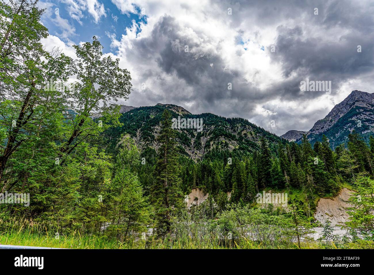 großer Alpsee, das vielseitige Naturerlebnis im Oberallgäu : der Große Alpsee-Rundweg Banque D'Images