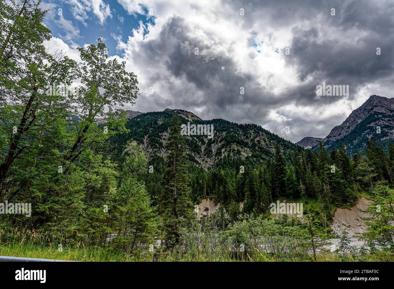 großer Alpsee, das vielseitige Naturerlebnis im Oberallgäu : der Große Alpsee-Rundweg Banque D'Images