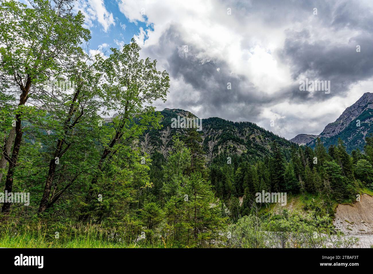 großer Alpsee, das vielseitige Naturerlebnis im Oberallgäu : der Große Alpsee-Rundweg Banque D'Images