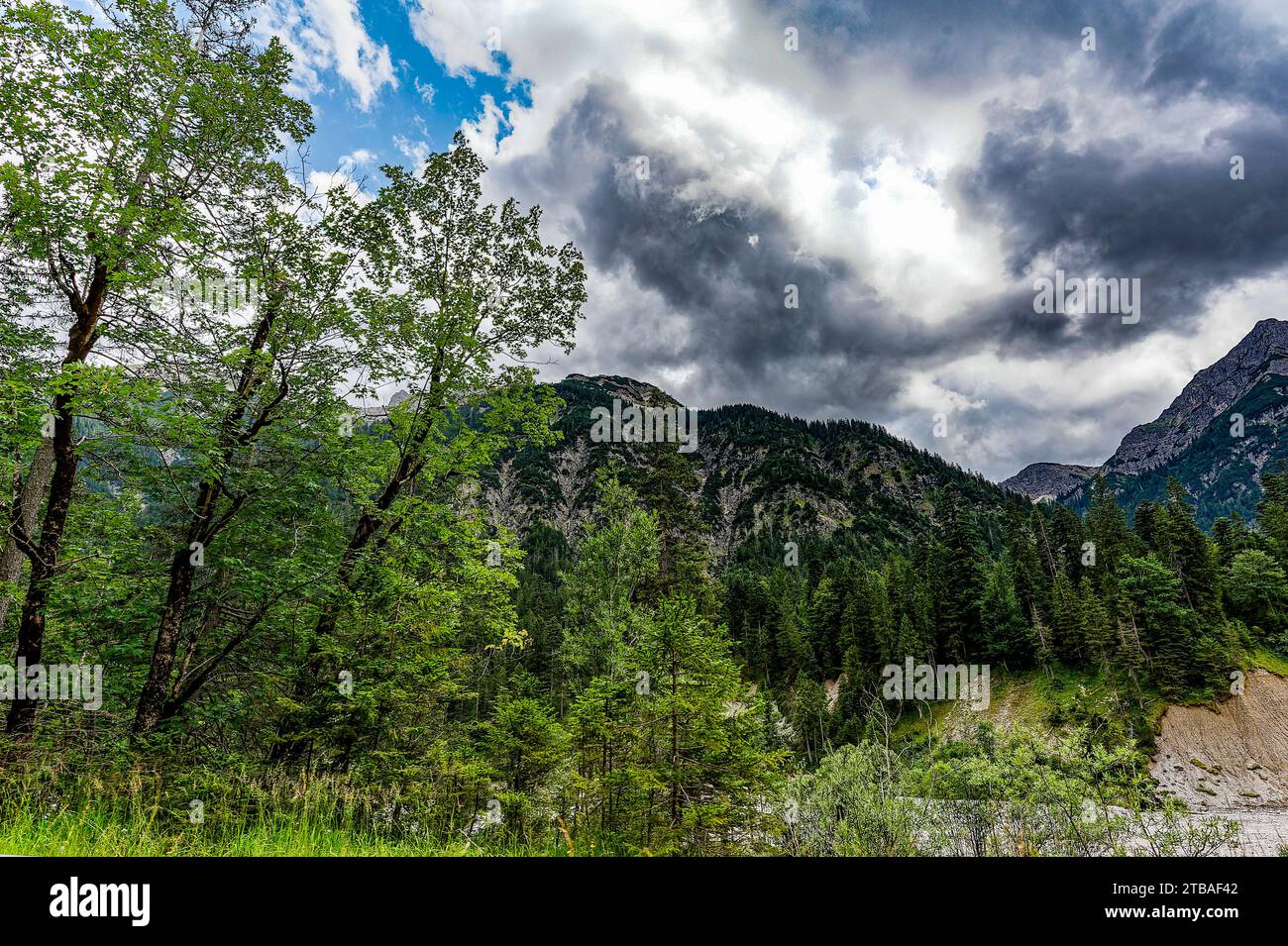 großer Alpsee, das vielseitige Naturerlebnis im Oberallgäu : der Große Alpsee-Rundweg Banque D'Images