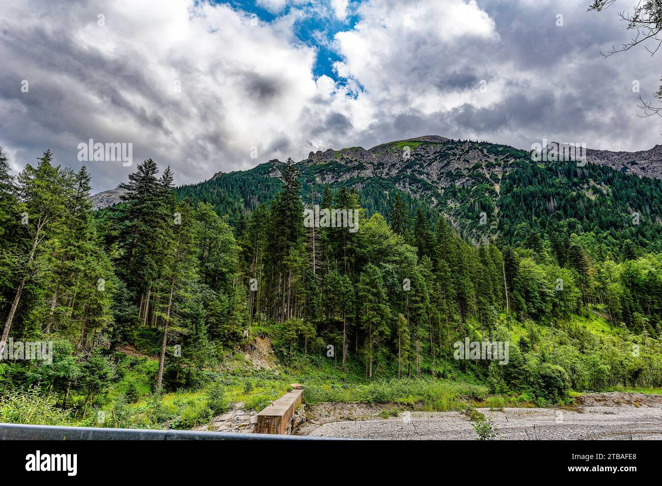 großer Alpsee, das vielseitige Naturerlebnis im Oberallgäu : der Große Alpsee-Rundweg Banque D'Images