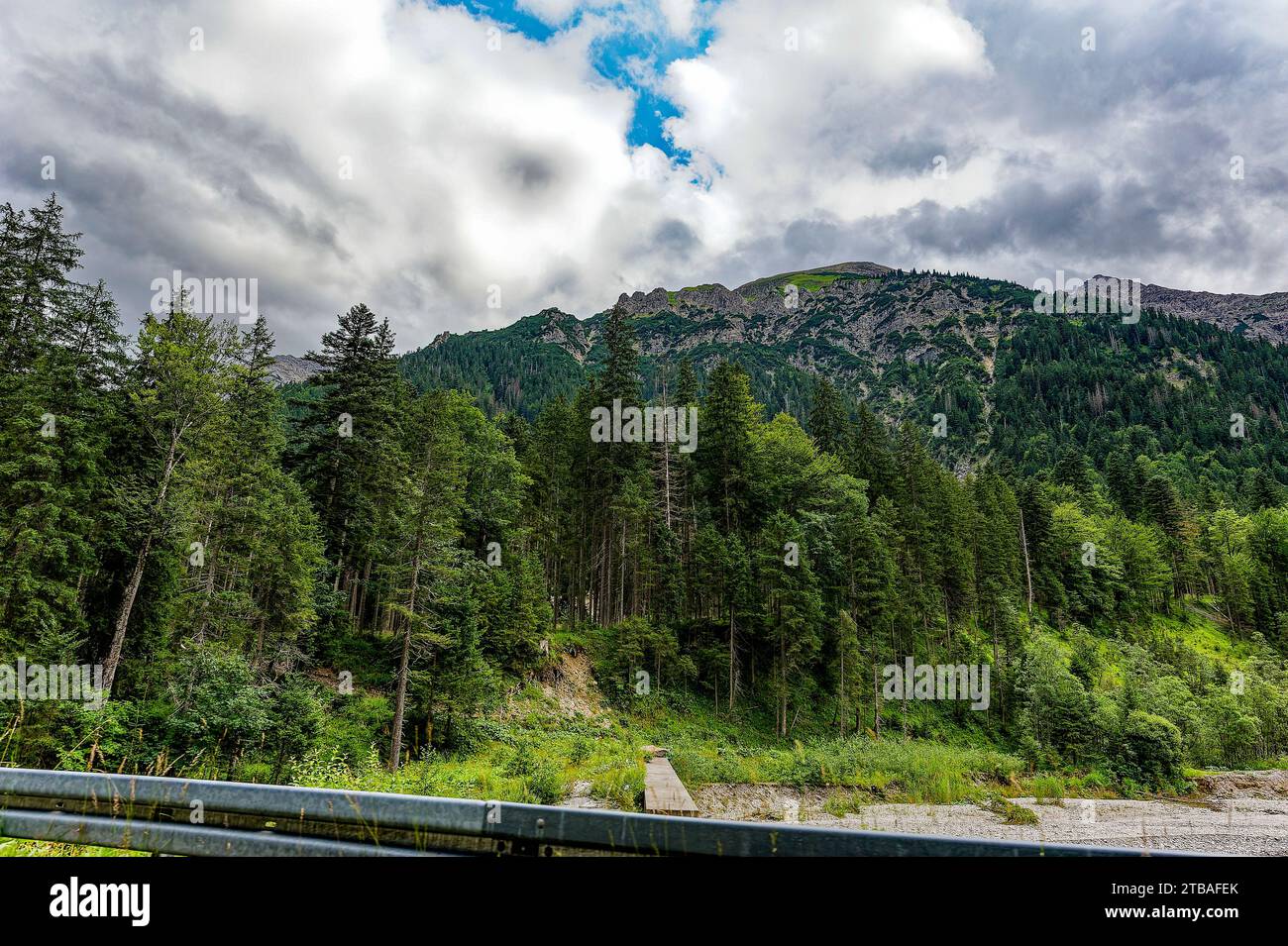 großer Alpsee, das vielseitige Naturerlebnis im Oberallgäu : der Große Alpsee-Rundweg Banque D'Images