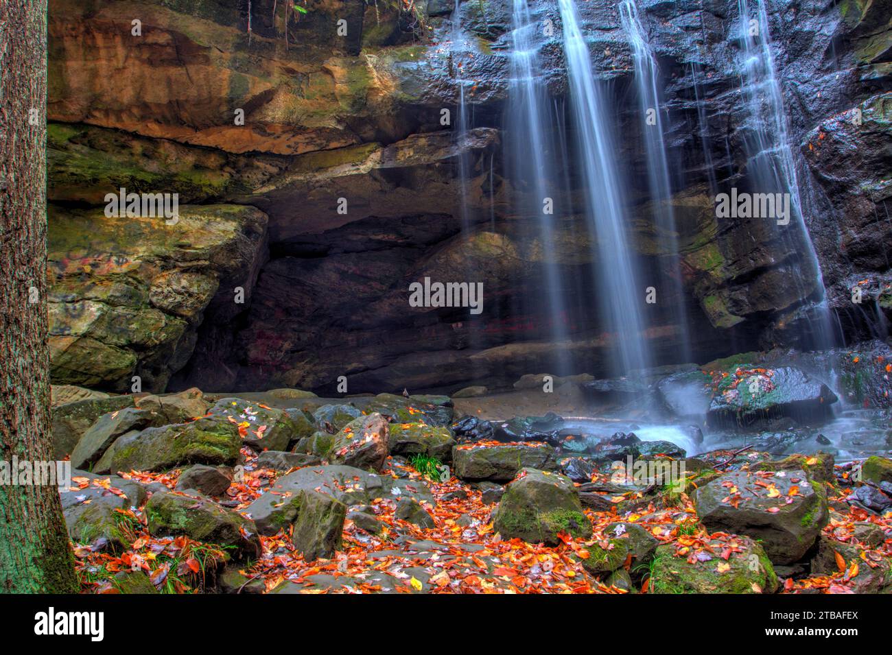 Vue sur les chutes de Lower Dundee en automne, Beach City Wilderness Area, Ohio Banque D'Images