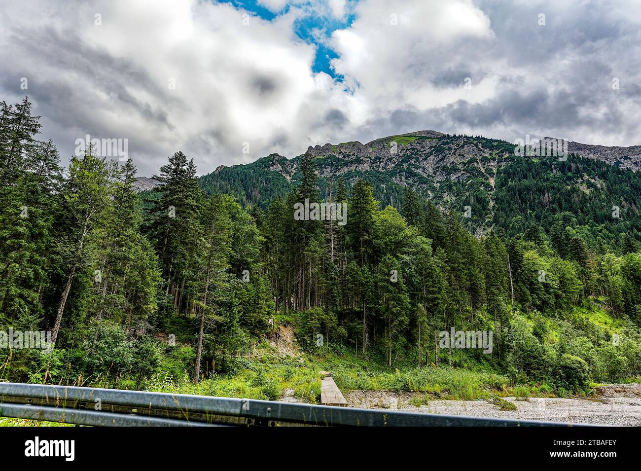 großer Alpsee, das vielseitige Naturerlebnis im Oberallgäu : der Große Alpsee-Rundweg Banque D'Images