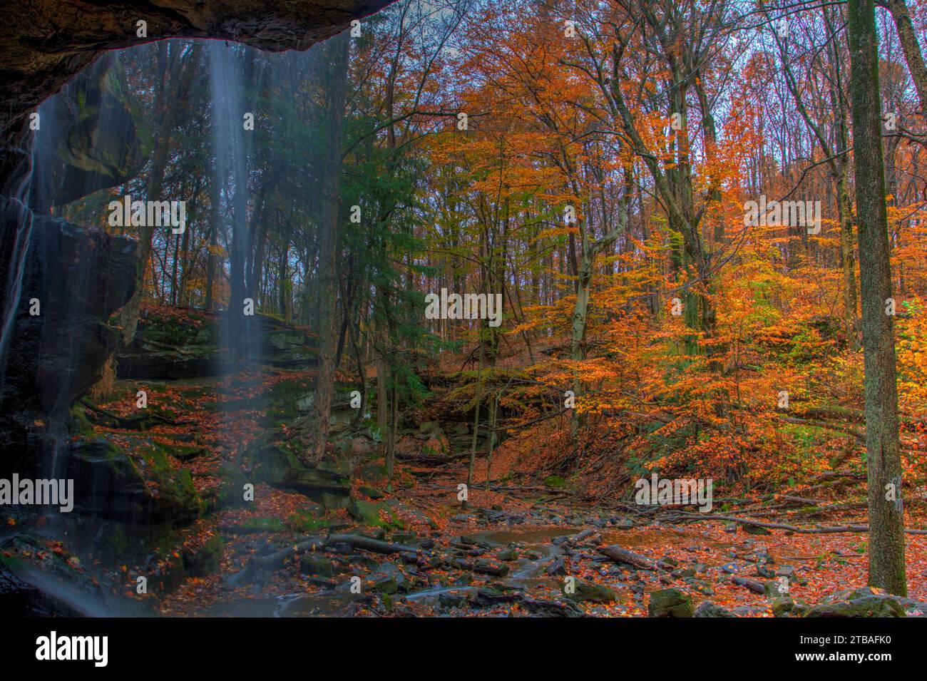 Vue sur les chutes de Lower Dundee en automne, Beach City Wilderness Area, Ohio Banque D'Images