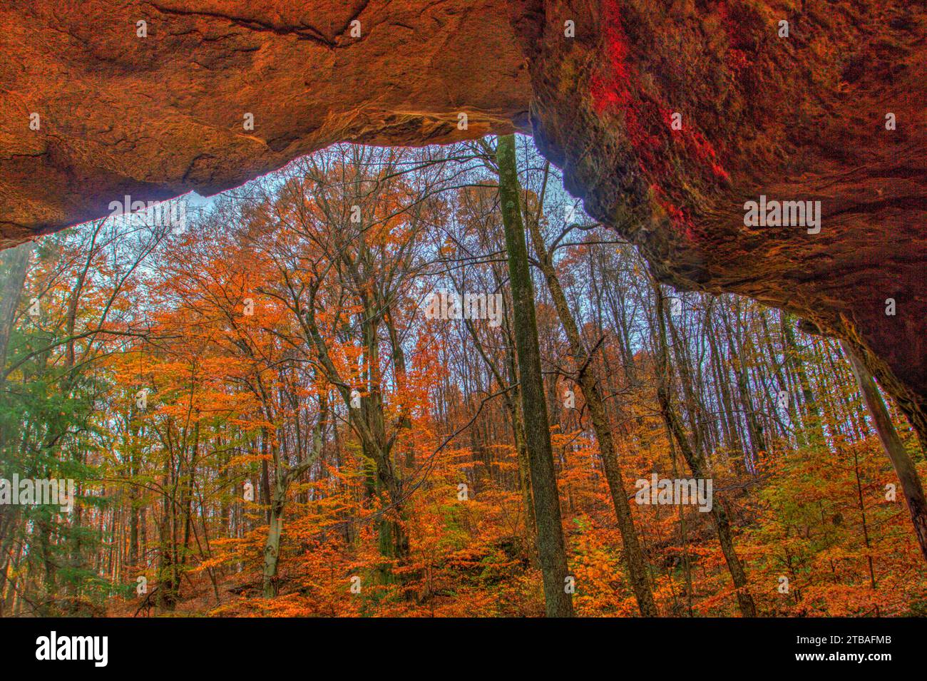 Vue sur les chutes de Lower Dundee en automne, Beach City Wilderness Area, Ohio Banque D'Images