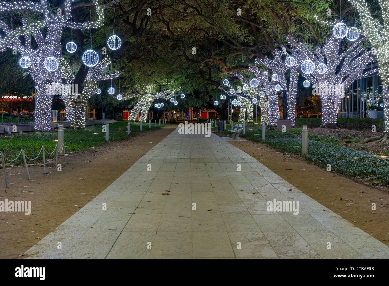 Petites lumières blanches dans les arbres au-dessus d'un large trottoir gris la nuit. Banque D'Images