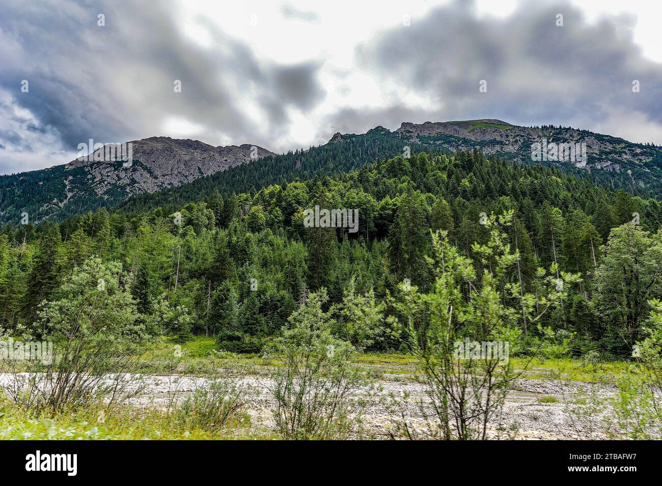 großer Alpsee, das vielseitige Naturerlebnis im Oberallgäu : der Große Alpsee-Rundweg Banque D'Images