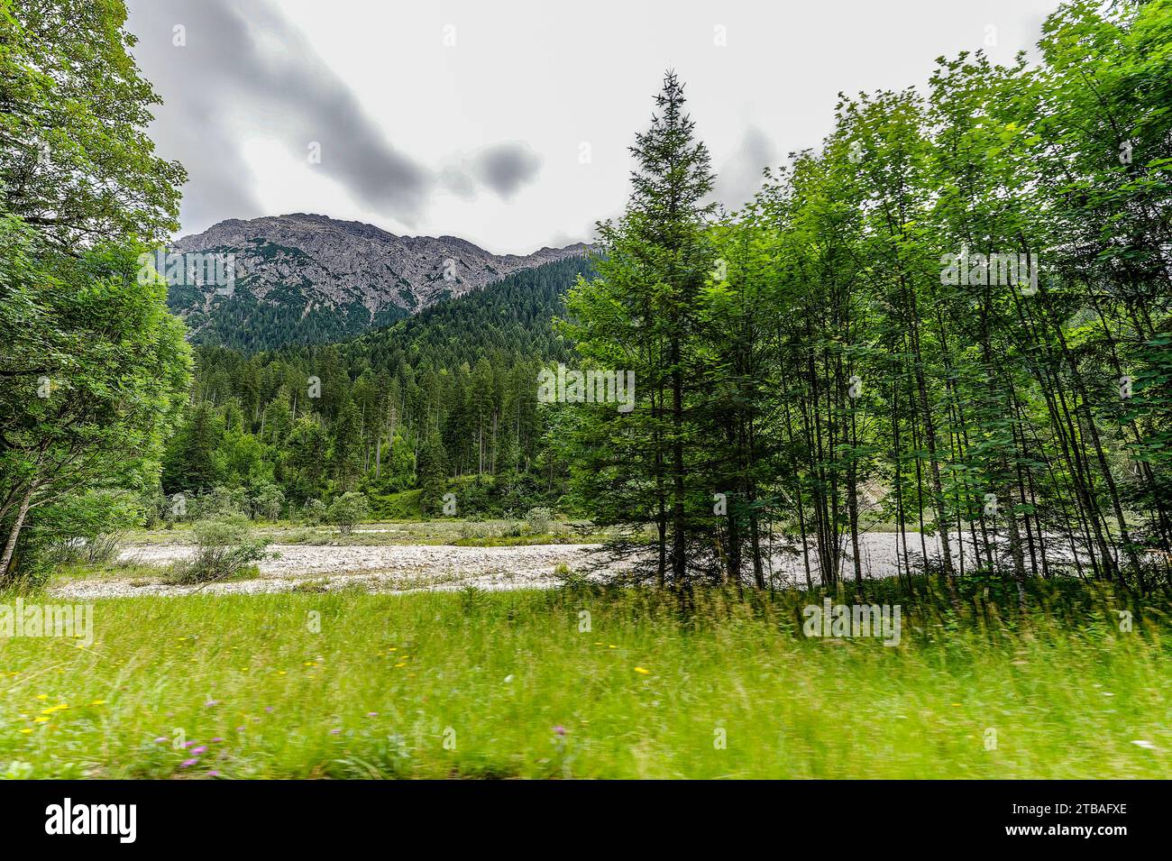 großer Alpsee, das vielseitige Naturerlebnis im Oberallgäu : der Große Alpsee-Rundweg Banque D'Images