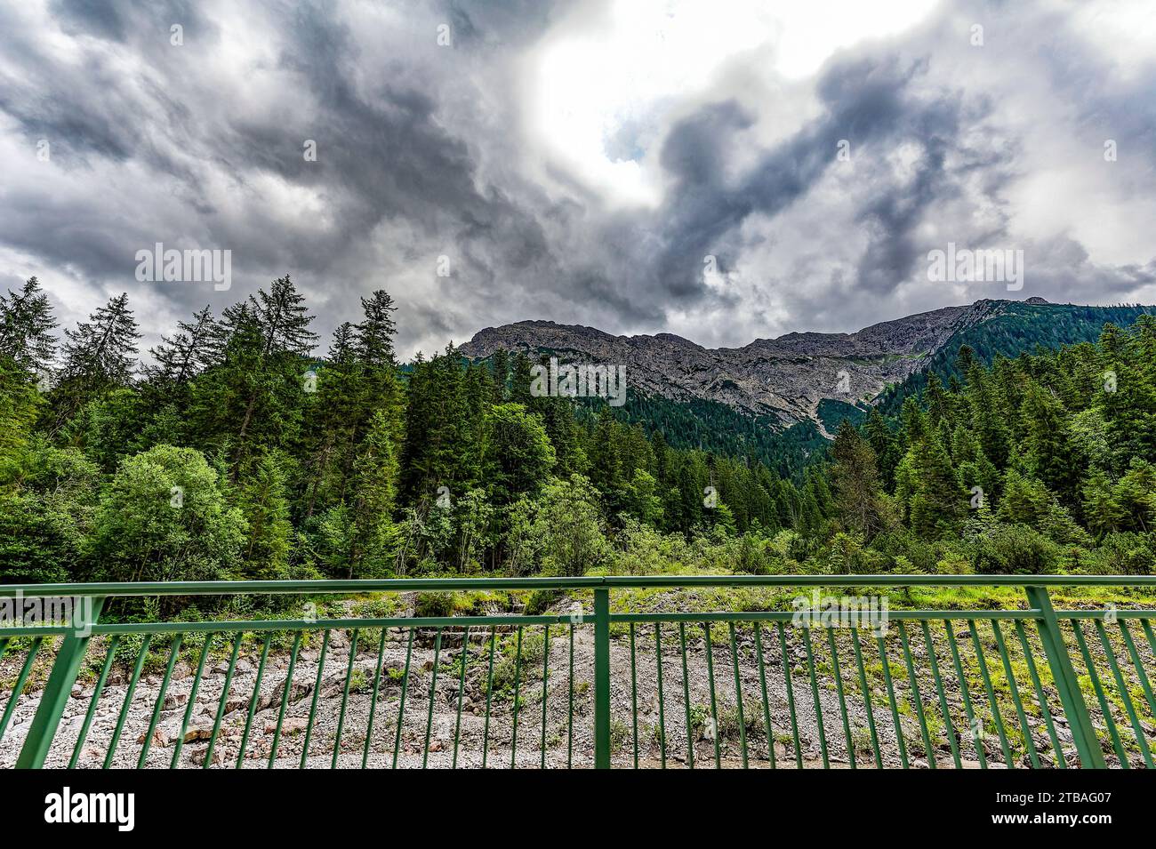 großer Alpsee, das vielseitige Naturerlebnis im Oberallgäu : der Große Alpsee-Rundweg Banque D'Images