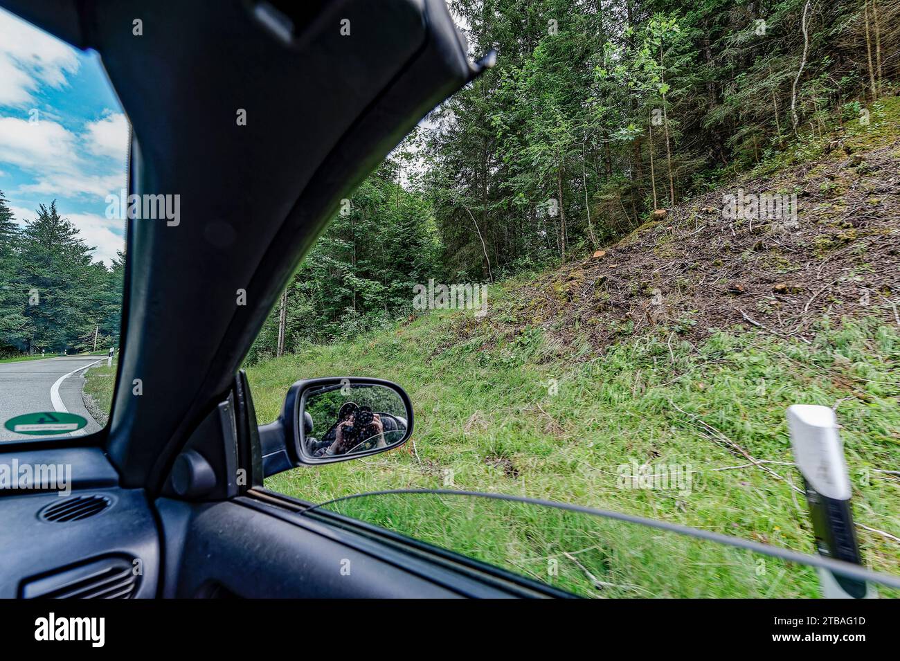 großer Alpsee, das vielseitige Naturerlebnis im Oberallgäu : der Große Alpsee-Rundweg Banque D'Images