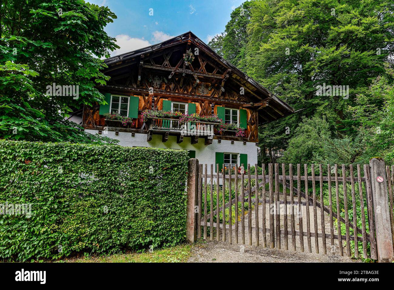 großer Alpsee, das vielseitige Naturerlebnis im Oberallgäu : der Große Alpsee-Rundweg Banque D'Images