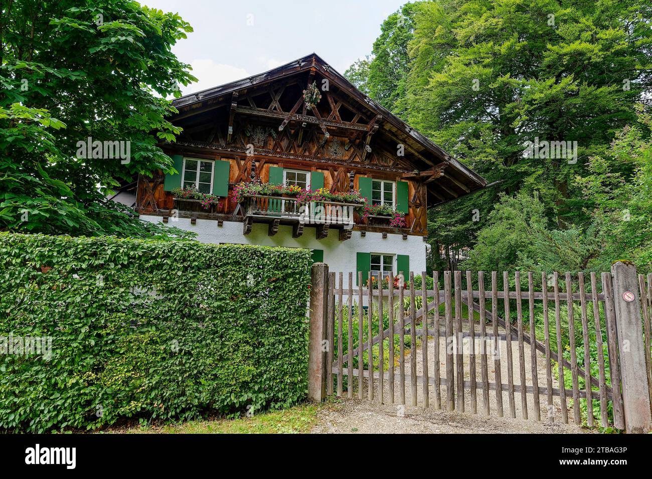 großer Alpsee, das vielseitige Naturerlebnis im Oberallgäu : der Große Alpsee-Rundweg Banque D'Images