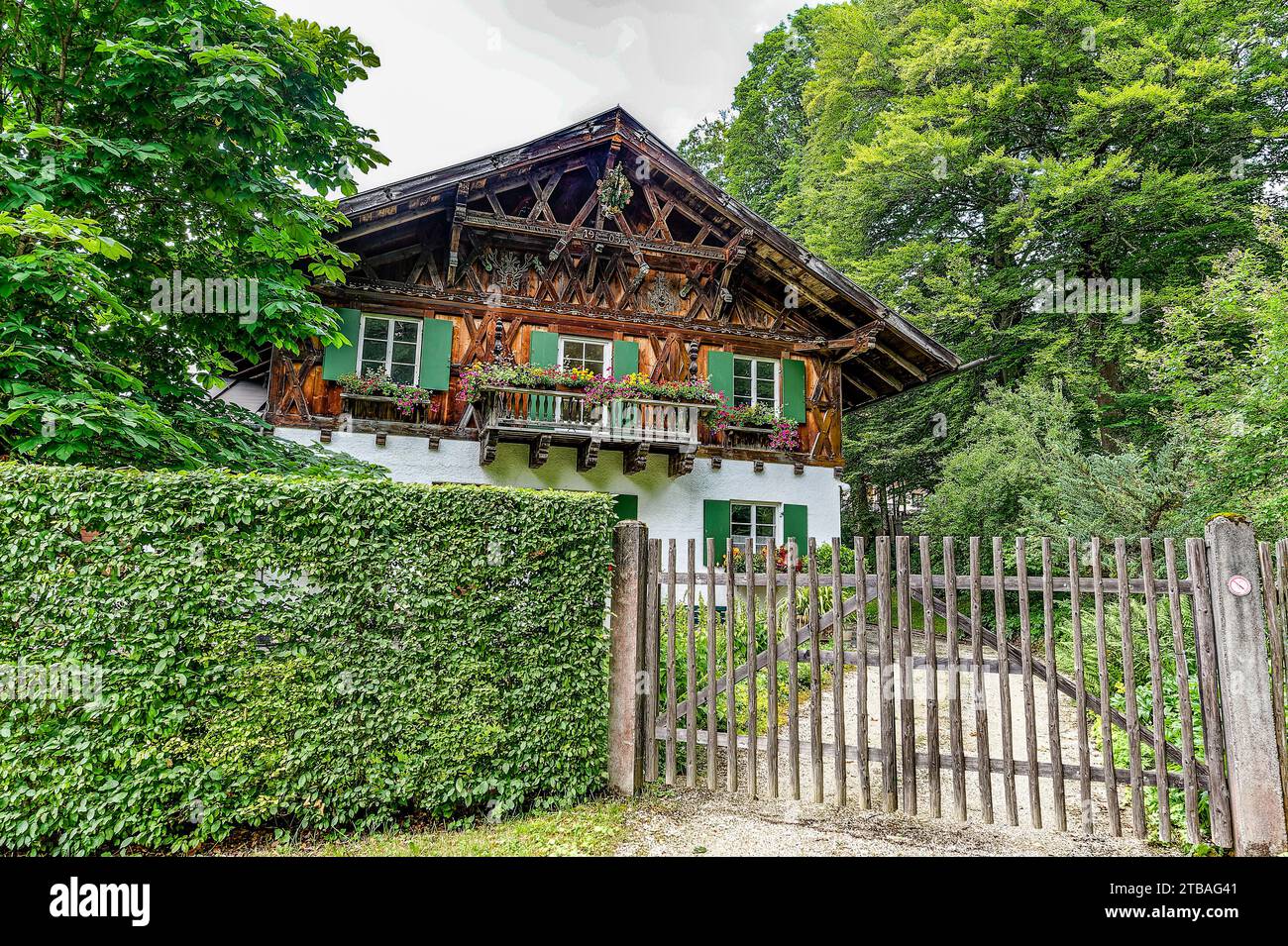 großer Alpsee, das vielseitige Naturerlebnis im Oberallgäu : der Große Alpsee-Rundweg Banque D'Images