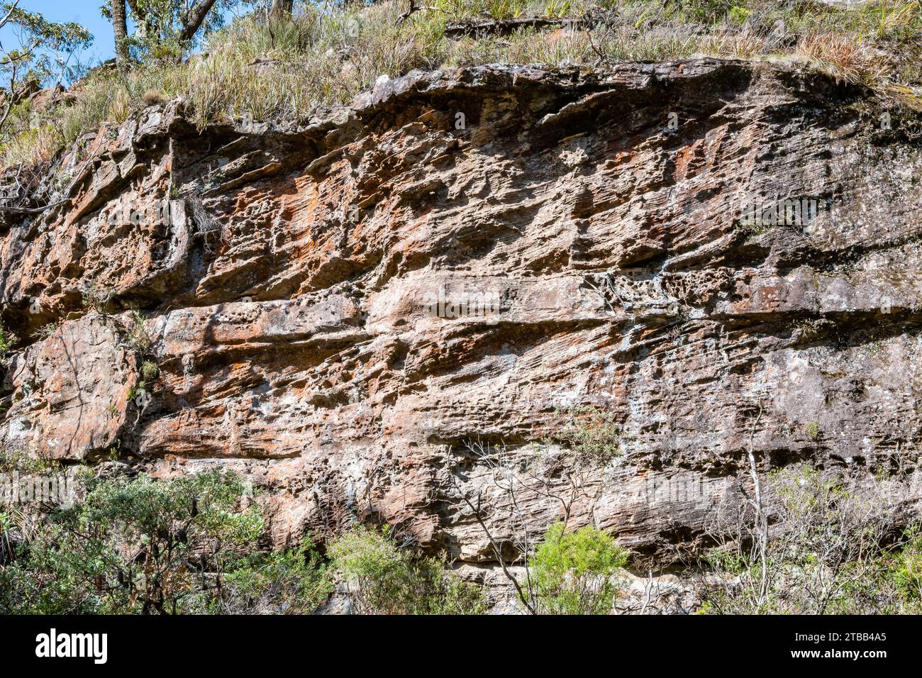 Crossbeds dans le grès. Parc national de Morton, Nouvelle-Galles du Sud, Australie. Banque D'Images
