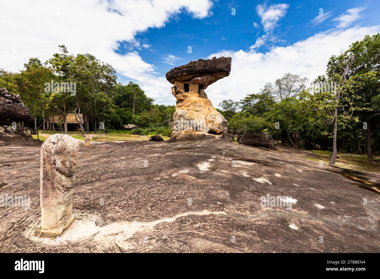 Phu Phra Bat Historical Park, pierre naturelle de champignon avec chambre artificielle, stèles, Ban Phue, Isan, Udon Thani, Thaïlande, Asie du Sud-est, Asie Banque D'Images