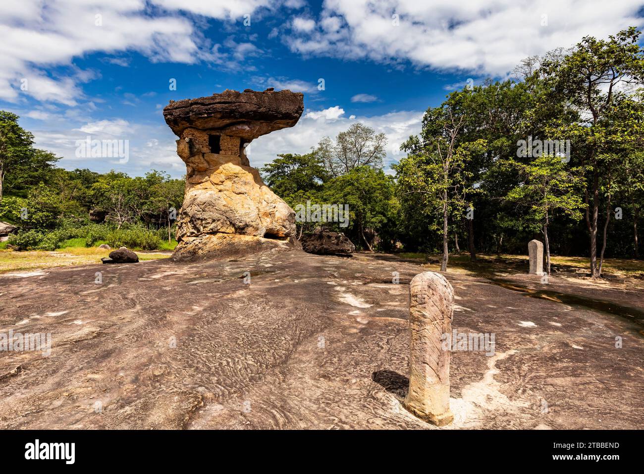 Phu Phra Bat Historical Park, pierre naturelle de champignon avec chambre artificielle, stèles, Ban Phue, Isan, Udon Thani, Thaïlande, Asie du Sud-est, Asie Banque D'Images
