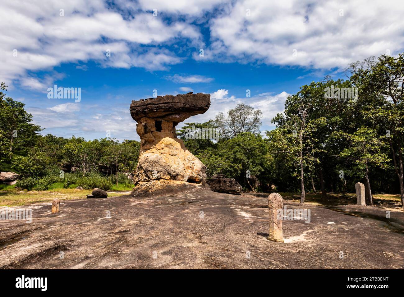 Phu Phra Bat Historical Park, pierre naturelle de champignon avec chambre artificielle, stèles, Ban Phue, Udon Thani, Thaïlande, Asie du Sud-est, Asie Banque D'Images