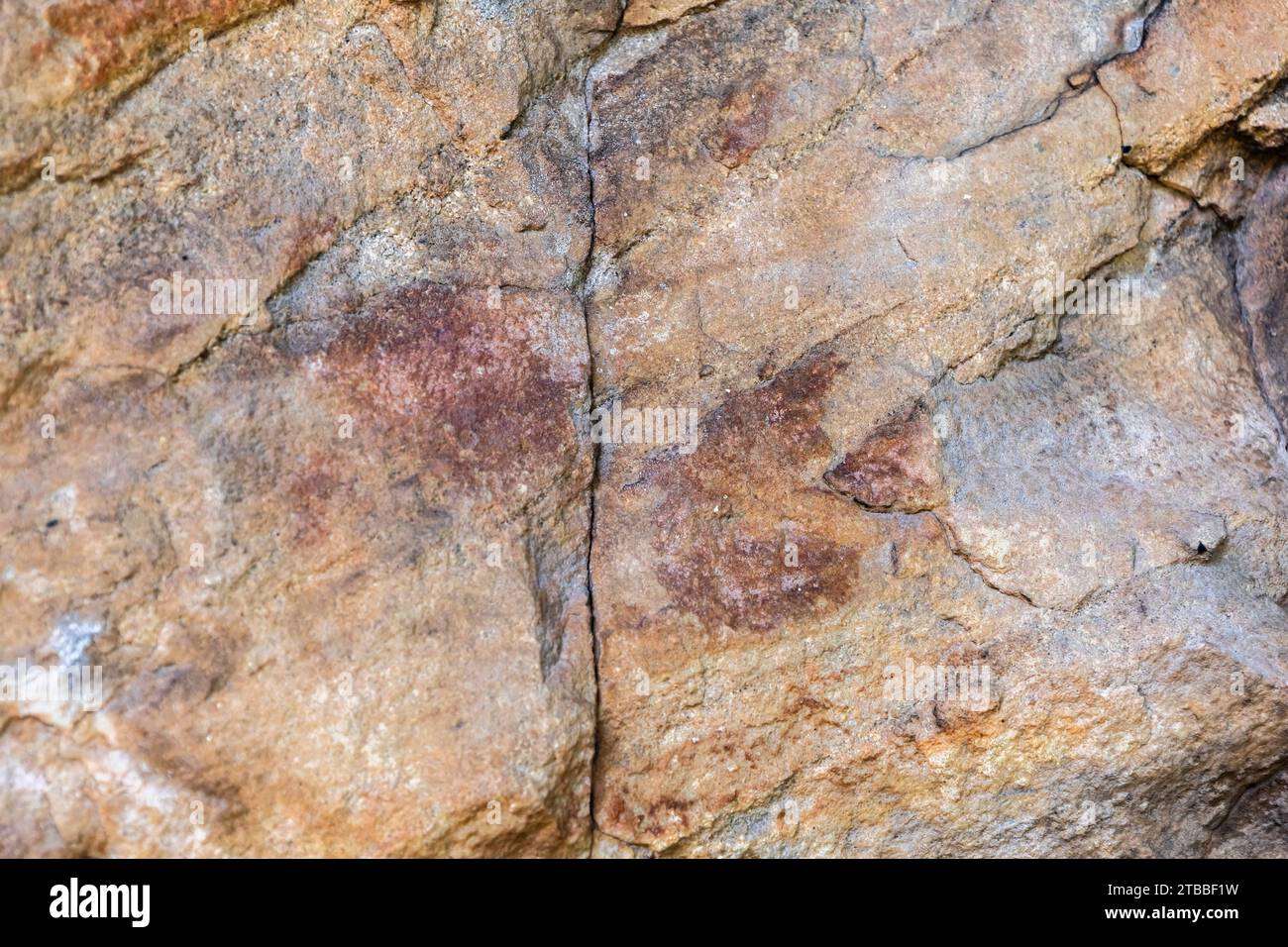 PHA Phak WAN, peintures rupestres préhistoriques à énorme rocher, district de Song Dao, Sakon Nakhon, Isan, Thaïlande, Asie du Sud-est, Asie Banque D'Images
