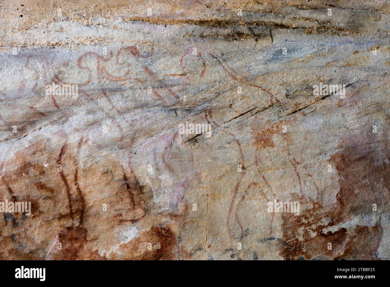 PHA Phak WAN, peintures rupestres préhistoriques à énorme rocher, district de Song Dao, Sakon Nakhon, Thaïlande, Asie du Sud-est, Asie Banque D'Images