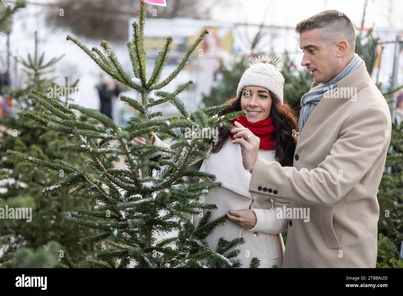 Un couple heureux achète un sapin de Noël au marché, importé des pays nordiques. Un couple choisit un arbre dans une ferme d'arbres de Noël. Banque D'Images