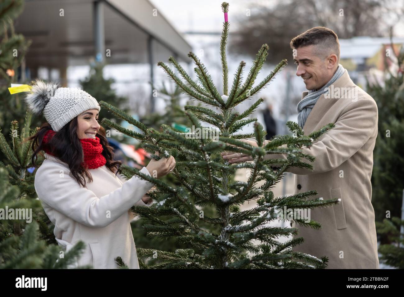 Un couple heureux achète un sapin de Noël au marché, importé des pays nordiques. Un couple choisit un arbre dans une ferme d'arbres de Noël. Banque D'Images