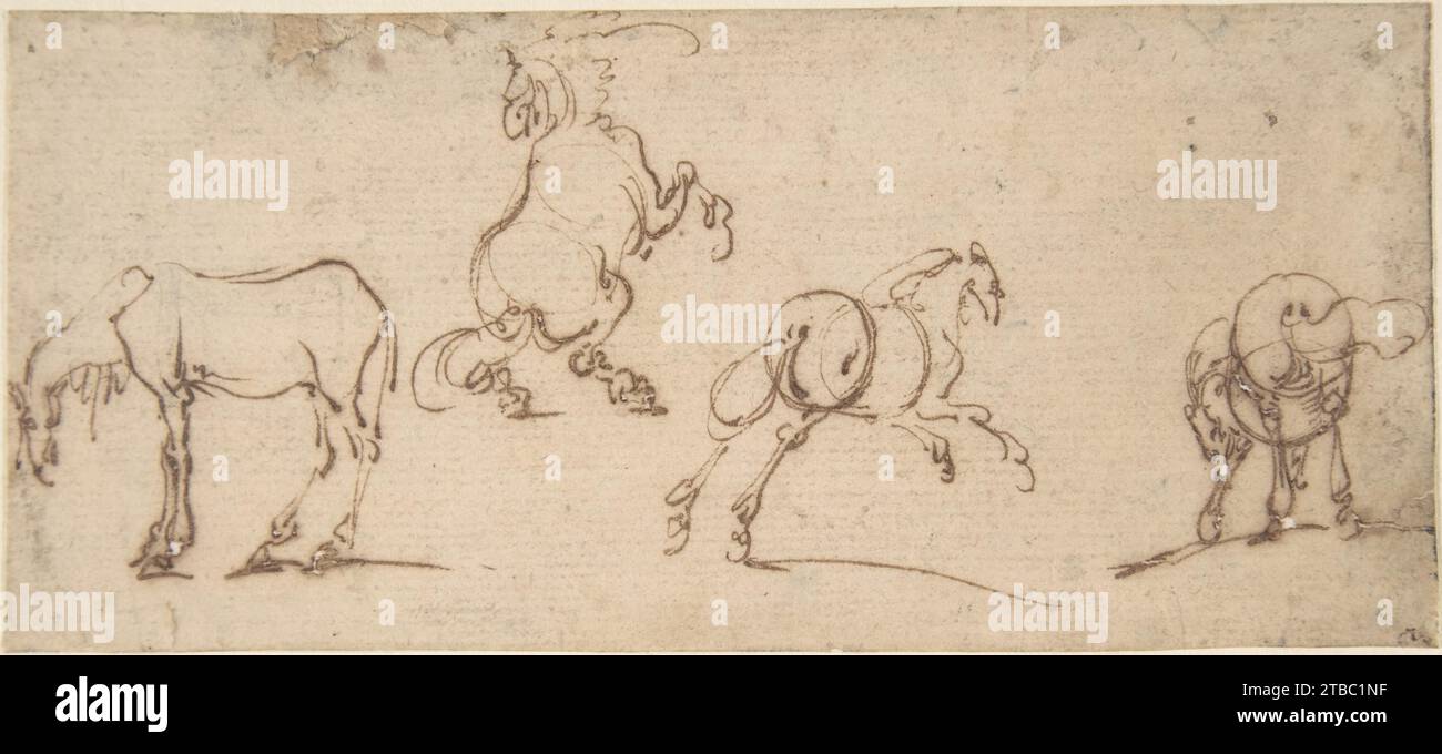 Quatre études de chevaux 1996 par Jacques Callot Banque D'Images