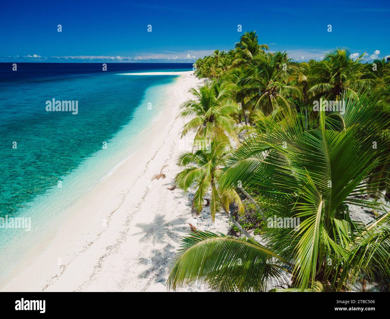 Îles Maldives océan plage tropicale avec palmiers Banque D'Images