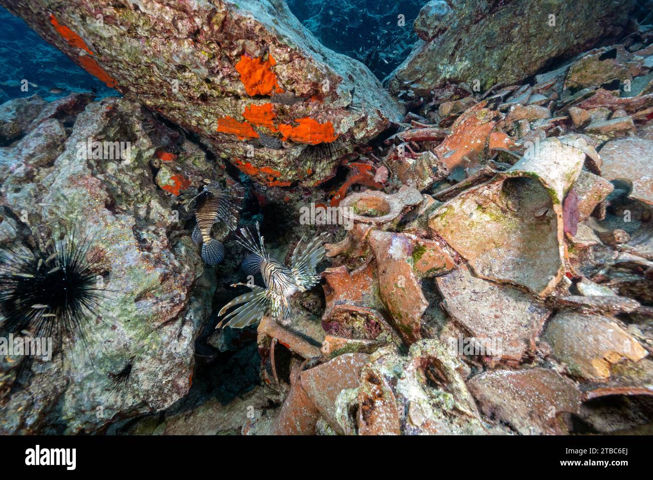 Épave d'anciemt datant du 6 siècle avant J.-C. dans la zone de protection marine de Datca Bozburun Turkiye Banque D'Images