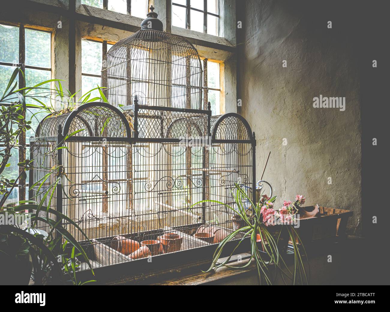 Une cage à oiseaux ornée avec des pots de fleurs sur un rebord de fenêtre dans un manoir de campagne anglais. Banque D'Images