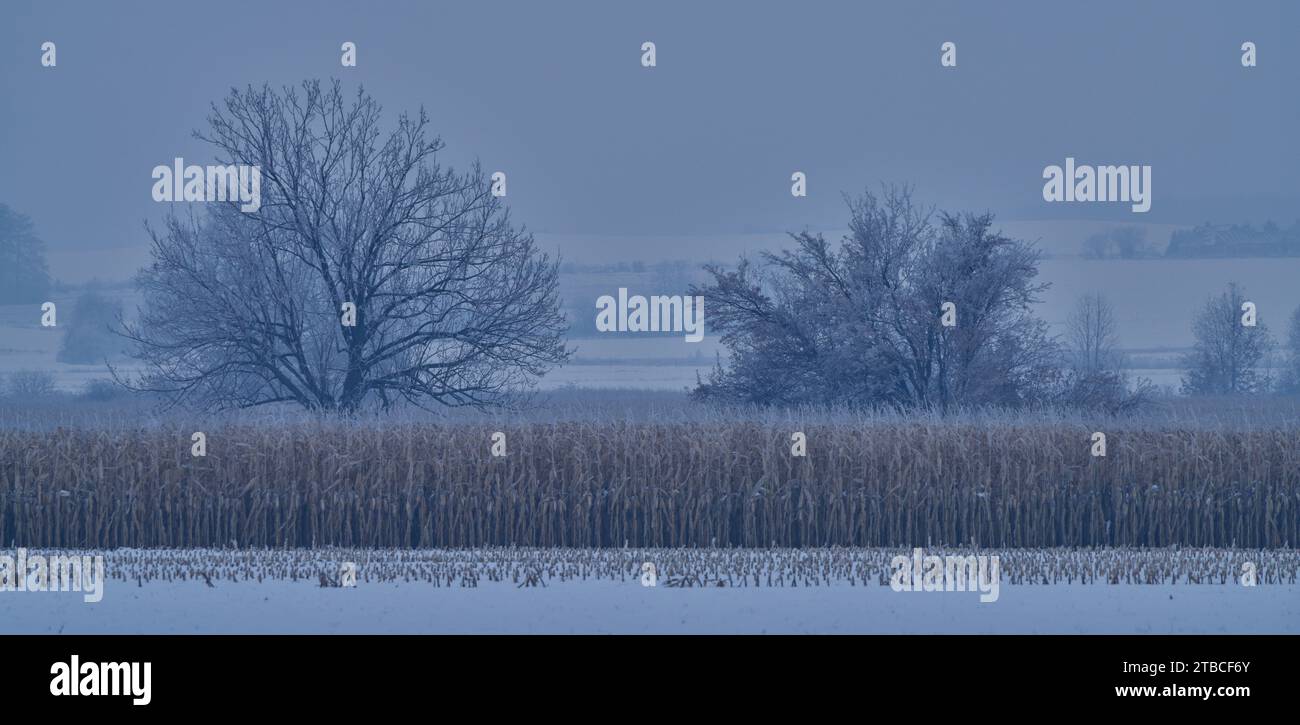 Paysage d'hiver après la première chute de neige Banque D'Images