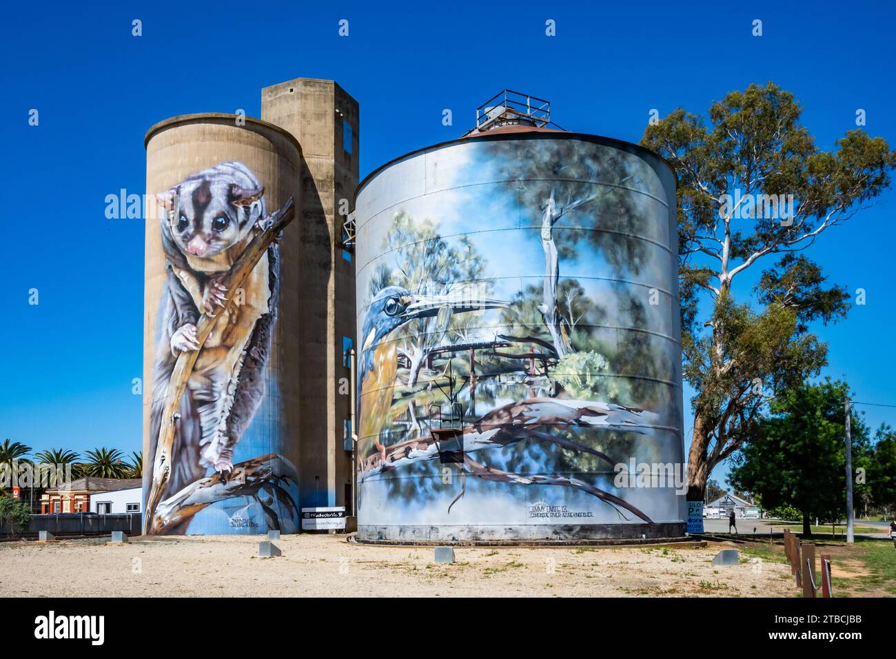 Belle peinture d'un Sugar Glider sur un silo à grain géant. Nouvelle-Galles du Sud, Australie. Banque D'Images