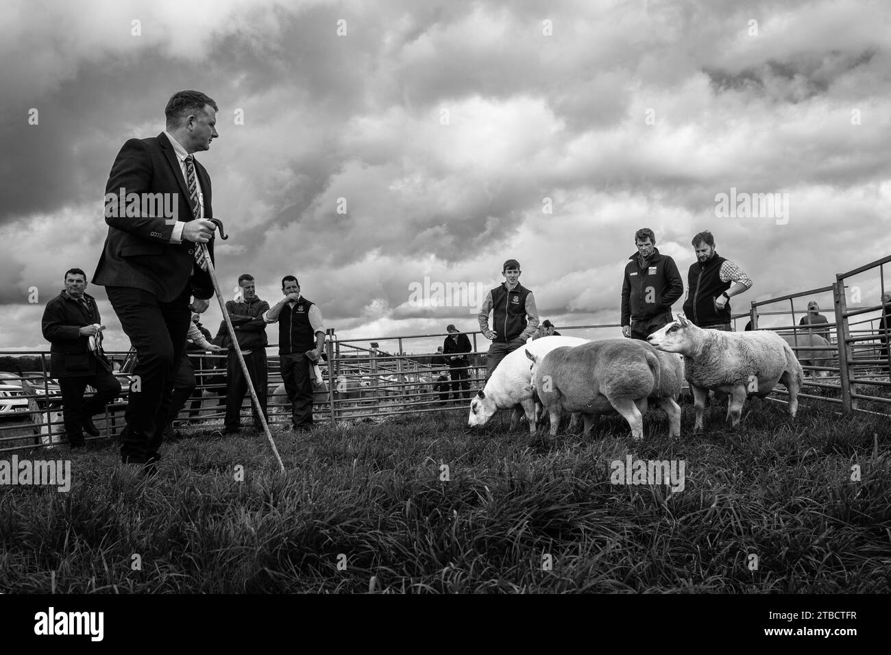 Images de la Carnwath and Biggar Agricultural Society montrant l'été 2023 Banque D'Images