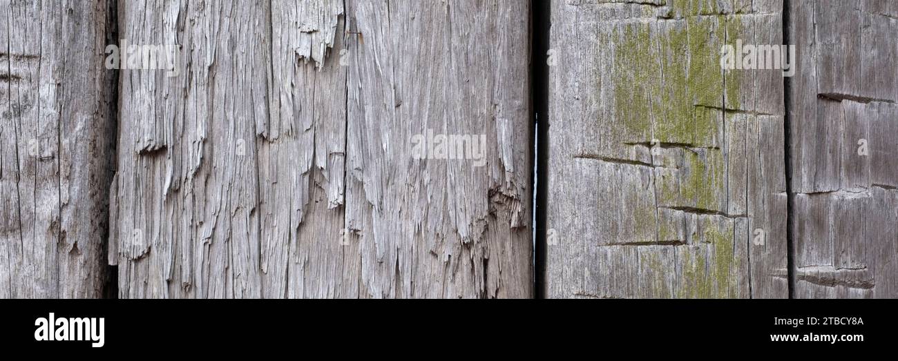 Surface d'un mur en bois Banque D'Images