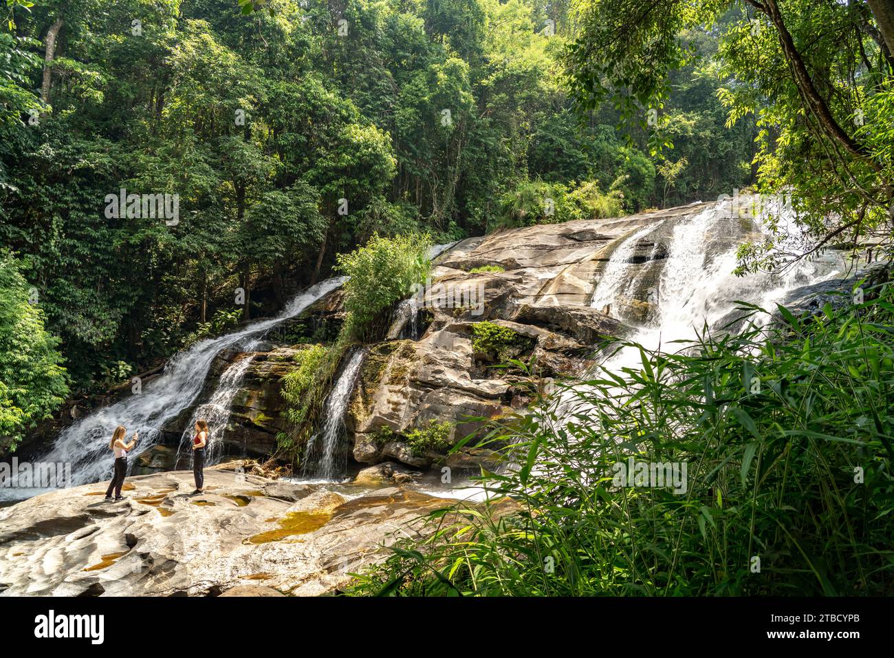 Wasserfall am Pha Dok Sieo nature Trail im Doi Inthanon Nationalpark, Chiang Mai, Thaïlande, Asien | Cascade au Pha Dok Sieo nature Trail, DO Banque D'Images