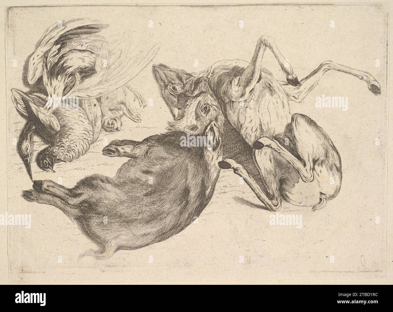 Sanglier, cerf, héron et autre jeu 1951 par Venceslaus Hollar Banque D'Images