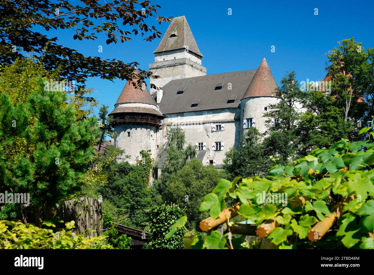 Douves remplies d'eau, château à douves, château de Heidenreichstein, von Kinsky, Basse-Autriche, Autriche Banque D'Images