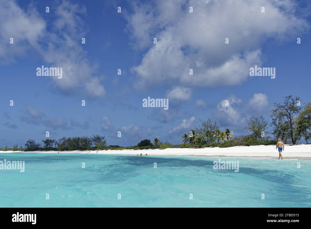 Plage blanche, eau bleu turquoise, ciel bleu avec petits nuages, île de l'Assomption, Aldabra, Seychelles Banque D'Images