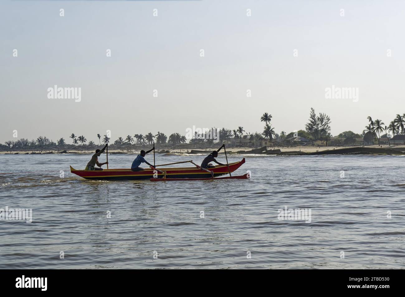 Pirogue, bateau de pêche, rameur, actif, plage, palmiers, Morandava, Madagascar Banque D'Images