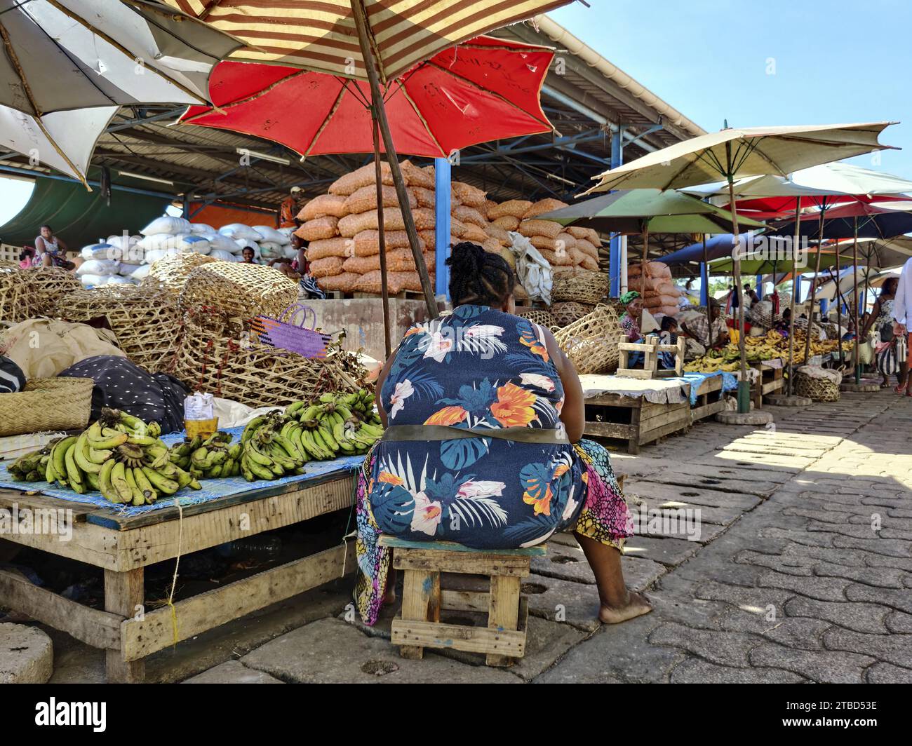 Marché, femme de marché, bananes, parasols, Mahajanga, Madagascar Banque D'Images